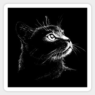 Cat Portrait Sticker